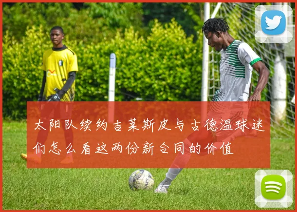 太阳队续约吉莱斯皮与古德温球迷们怎么看这两份新合同的价值